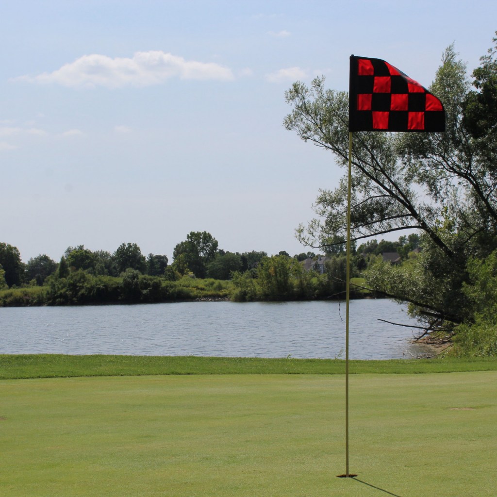 Black and red checkered flag on golf course